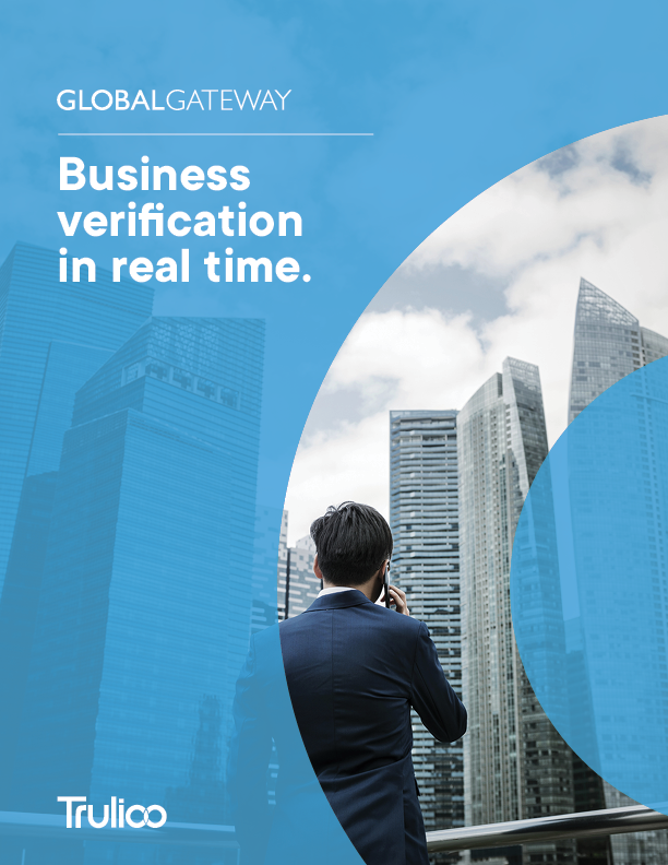 Business Verification Brochure cover